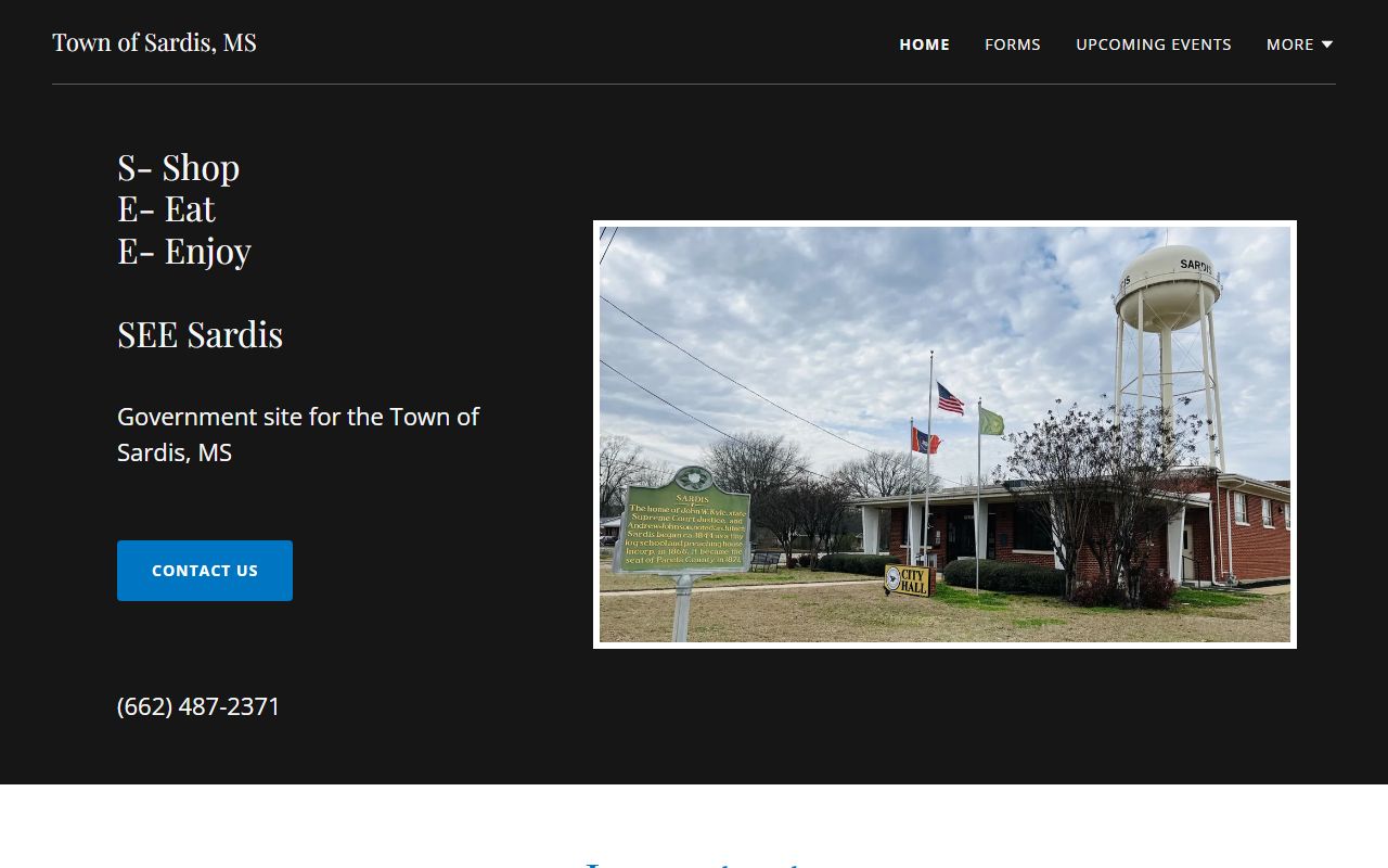 Panola County traffic court records and City of Sardis municipal payment page
